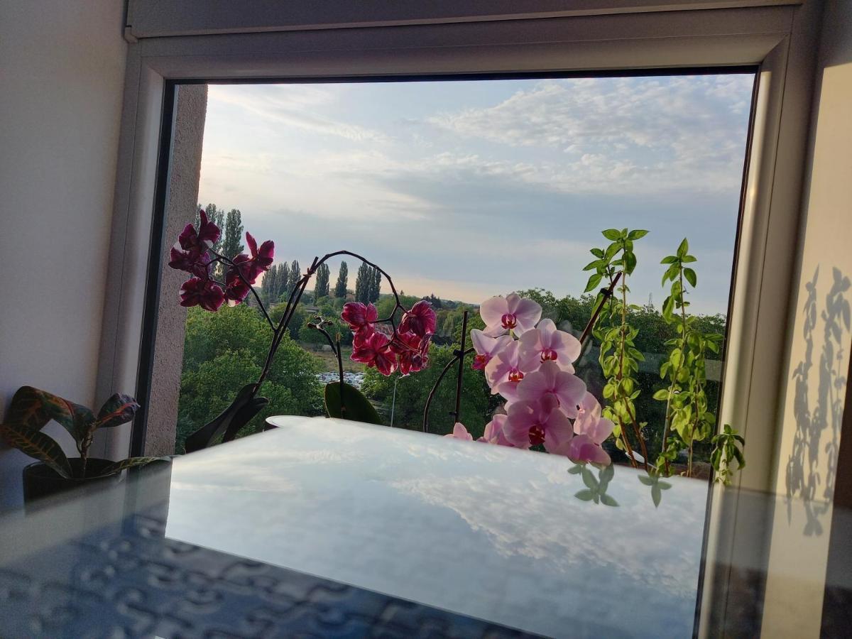 Lavanda Apartment Oradea Exteriér fotografie